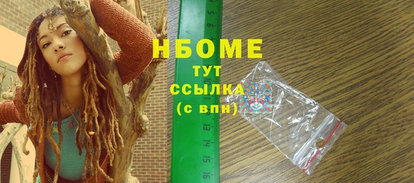 хмурый Ветлуга